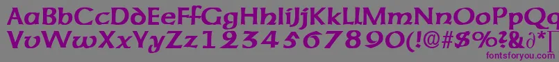 AmericanuncialeDb Font – Purple Fonts on Gray Background