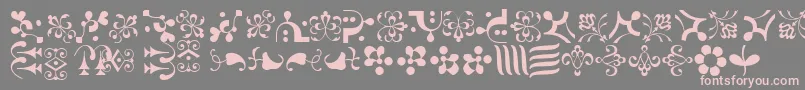 CaravanLhOne Font – Pink Fonts on Gray Background