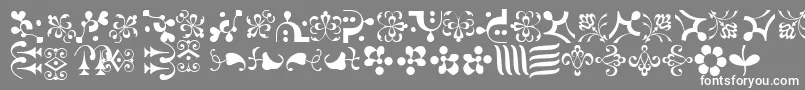 CaravanLhOne Font – White Fonts on Gray Background