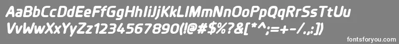 PlanerExtrabolditalic Font – White Fonts on Gray Background