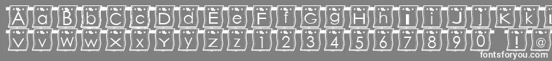 WlFont Font – White Fonts on Gray Background