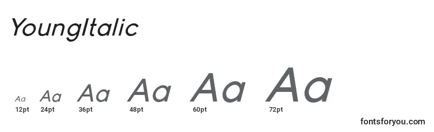 YoungItalic Font Sizes