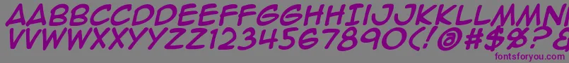 Animeace2Bld-fontti – violetit fontit harmaalla taustalla