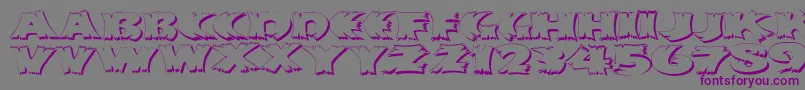 Klitschkotiquashadow Font – Purple Fonts on Gray Background