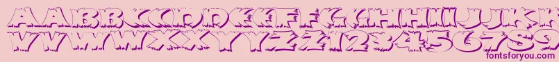 Klitschkotiquashadow Font – Purple Fonts on Pink Background