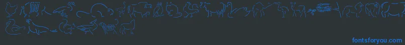 フォントFouna – 黒い背景に青い文字