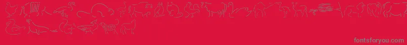 fuente Founa – Fuentes Grises Sobre Fondo Rojo