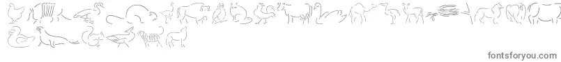 Founa-Schriftart – Graue Schriften auf weißem Hintergrund
