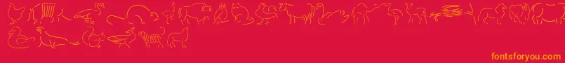 Founa Font – Orange Fonts on Red Background