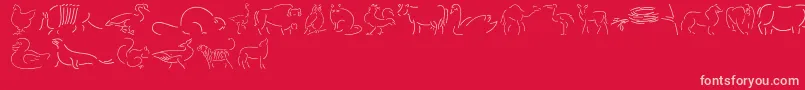 Founa Font – Pink Fonts on Red Background