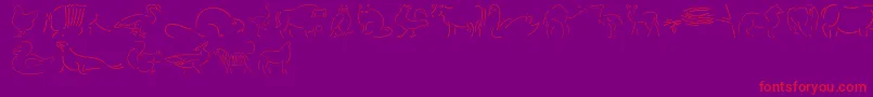 Founa-Schriftart – Rote Schriften auf violettem Hintergrund