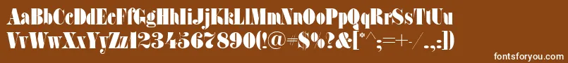 SanasoftFat.Kz Font – White Fonts on Brown Background