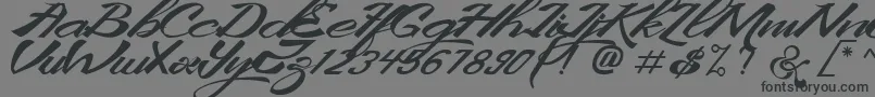 KingCityFreeFont-fontti – mustat fontit harmaalla taustalla