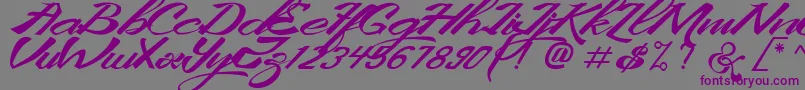 KingCityFreeFont Font – Purple Fonts on Gray Background