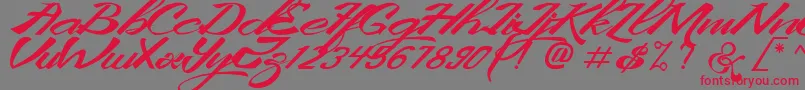 KingCityFreeFont Font – Red Fonts on Gray Background