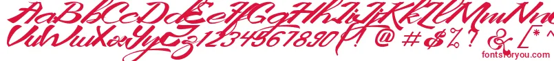 KingCityFreeFont Font – Red Fonts on White Background