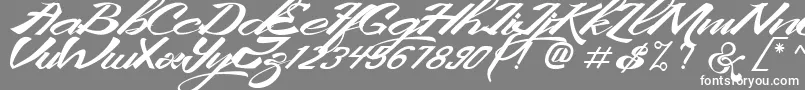 KingCityFreeFont-Schriftart – Weiße Schriften auf grauem Hintergrund