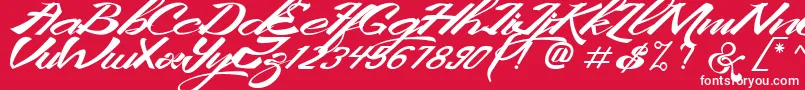 フォントKingCityFreeFont – 赤い背景に白い文字