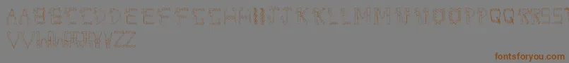 DolbyFianltype Font – Brown Fonts on Gray Background