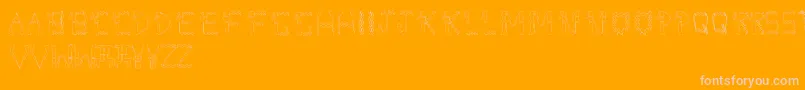 DolbyFianltype Font – Pink Fonts on Orange Background