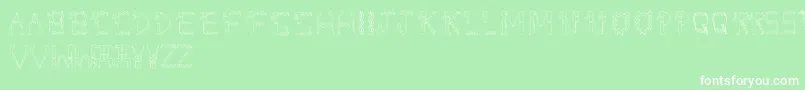 DolbyFianltype Font – White Fonts on Green Background