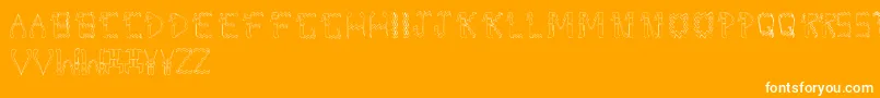 DolbyFianltype Font – White Fonts on Orange Background
