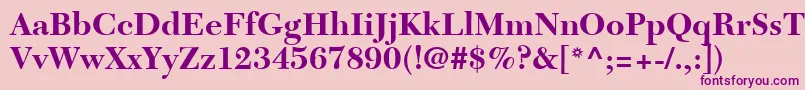 NewCaledoniaLtBold Font – Purple Fonts on Pink Background
