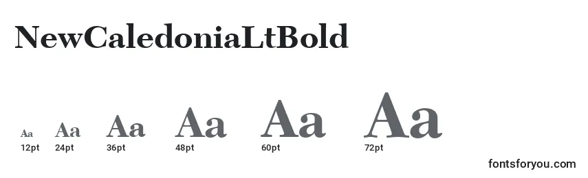Размеры шрифта NewCaledoniaLtBold