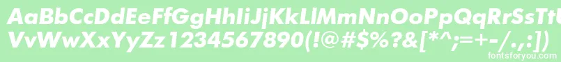 FuturisttBolditalic Font – White Fonts on Green Background