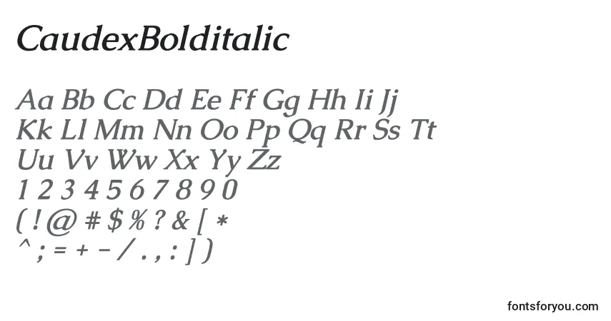Шрифт CaudexBolditalic – алфавит, цифры, специальные символы