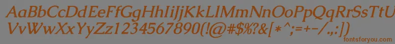 フォントCaudexBolditalic – 茶色の文字が灰色の背景にあります。