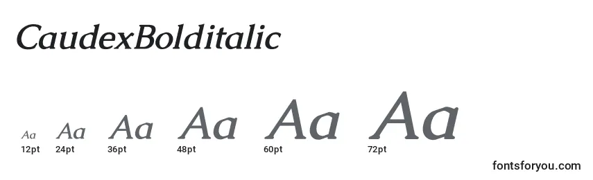 CaudexBolditalic Font Sizes