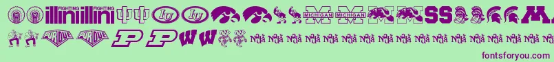 BigTenMania Font – Purple Fonts on Green Background