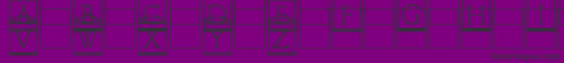 Paladincapitals Font – Black Fonts on Purple Background