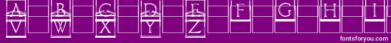 Paladincapitals Font – White Fonts on Purple Background