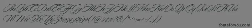 SloopScriptone Font – Black Fonts on Gray Background