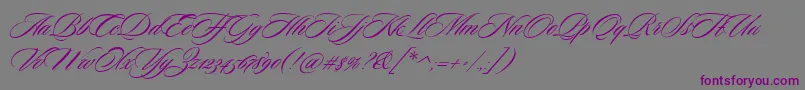 SloopScriptone-fontti – violetit fontit harmaalla taustalla
