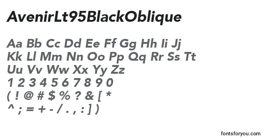 AvenirLt95BlackOblique Font – alphabet, numbers, special characters