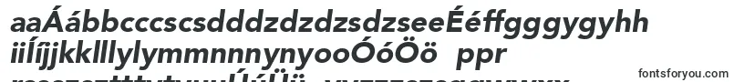Шрифт AvenirLt95BlackOblique – венгерские шрифты