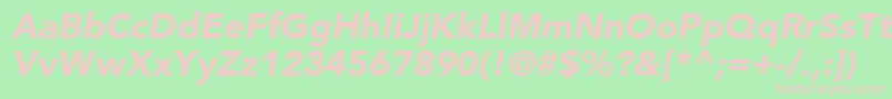 Шрифт AvenirLt95BlackOblique – розовые шрифты на зелёном фоне