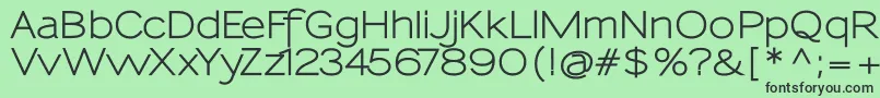 SansumiBold Font – Black Fonts on Green Background