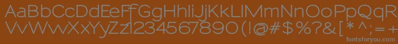 Шрифт SansumiBold – серые шрифты на коричневом фоне