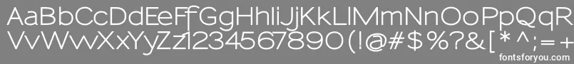 SansumiBold Font – White Fonts on Gray Background