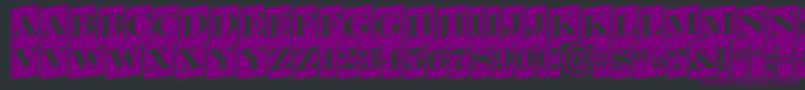 ASerifertitulcmup-Schriftart – Violette Schriften auf schwarzem Hintergrund