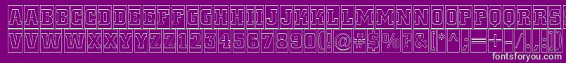 ACitynovattlcmotl Font – Green Fonts on Purple Background
