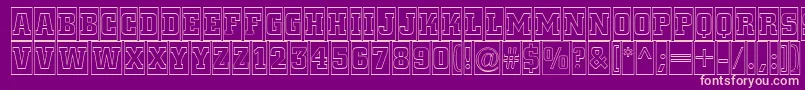 ACitynovattlcmotl Font – Pink Fonts on Purple Background