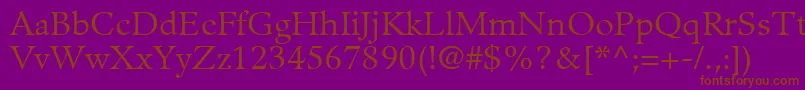 GuardiLt55Roman Font – Brown Fonts on Purple Background