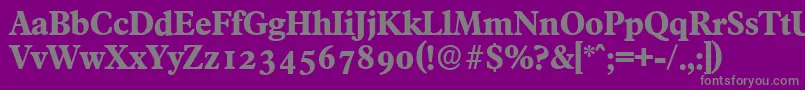 FranciscoserialXboldRegular Font – Gray Fonts on Purple Background