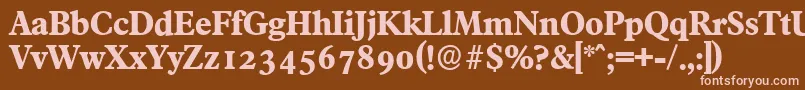FranciscoserialXboldRegular Font – Pink Fonts on Brown Background