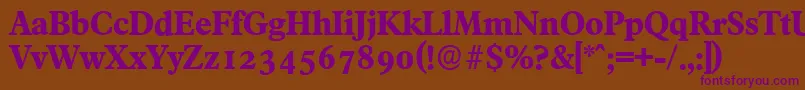 FranciscoserialXboldRegular Font – Purple Fonts on Brown Background
